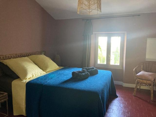 ホテル Casa 55 Tulette エクステリア 写真